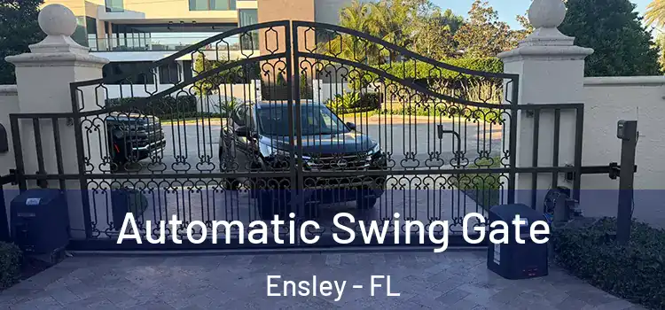  Automatic Swing Gate Ensley - FL