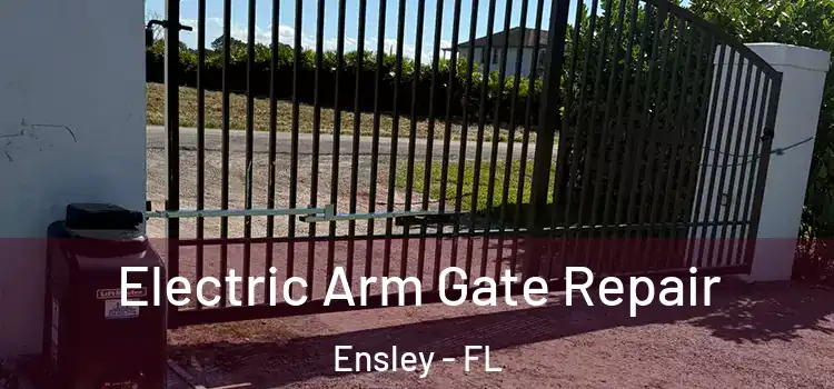  Electric Arm Gate Repair Ensley - FL