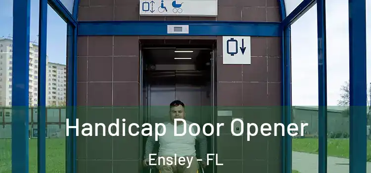  Handicap Door Opener Ensley - FL
