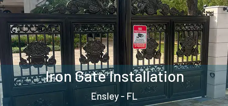  Iron Gate Installation Ensley - FL