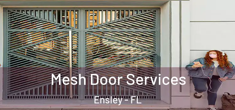  Mesh Door Services Ensley - FL